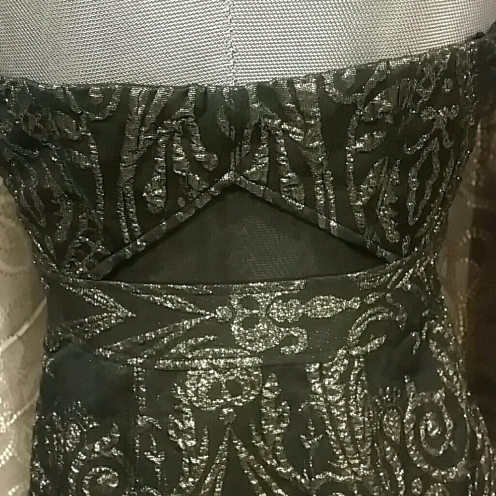 Express Dress - Picture 4 of 8